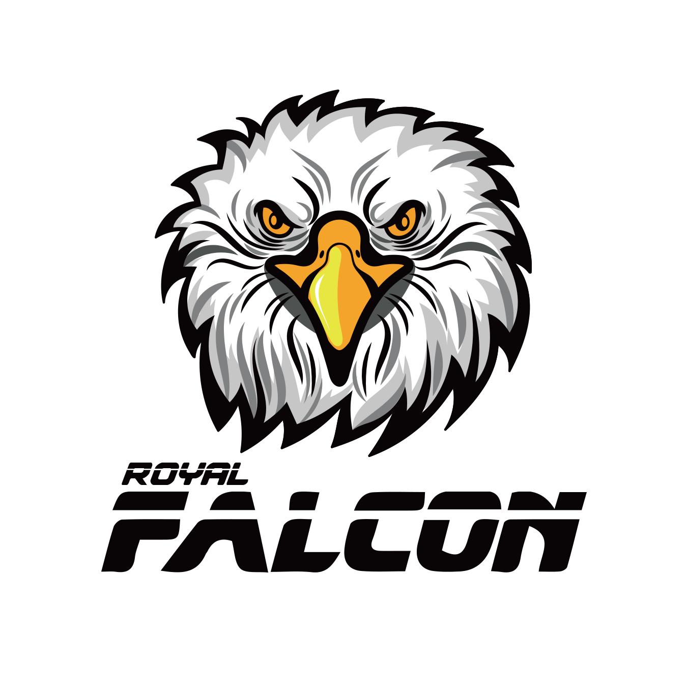 Royal Falcon Group logo